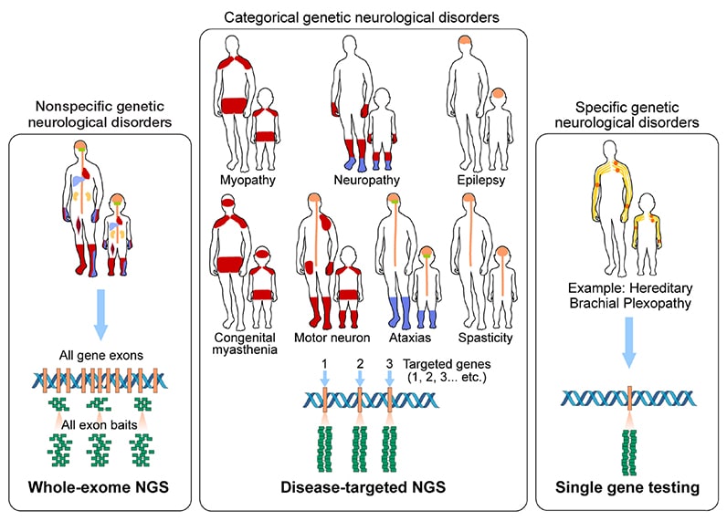 Targeted DNA sequencing for neurological conditions For Medical