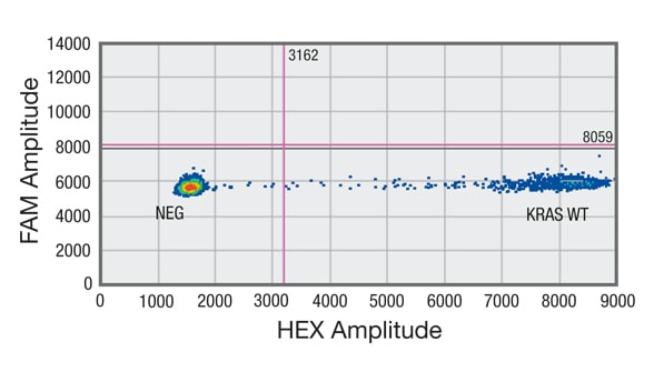 Droplet digital PCR (ddPCR) analysis of cell-free DNA (cfDNA) shows sample negative for mutation in codon 12/13 of KRAS gene