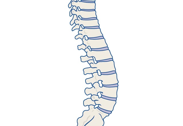 Back Pain: Causes, Treatment, and When to See a Doctor