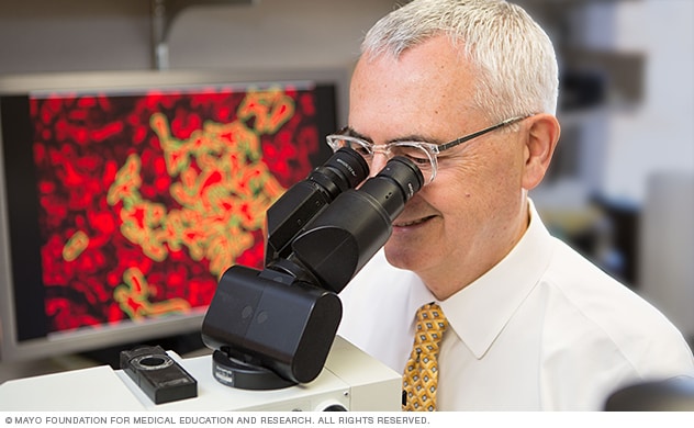 Un investigador de enfermedades renales examina las células usando un microscopio