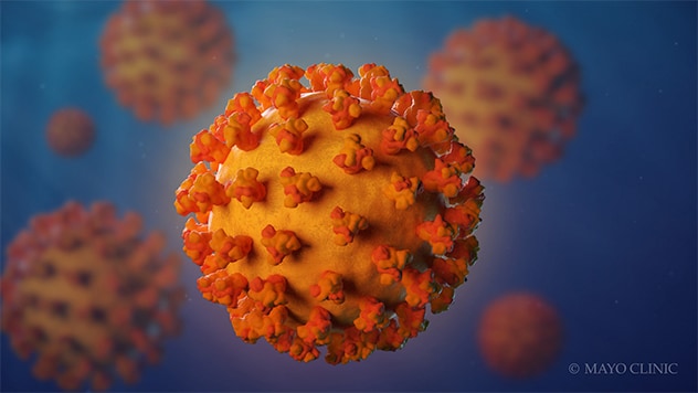 Resultado de imagen de coronavirus