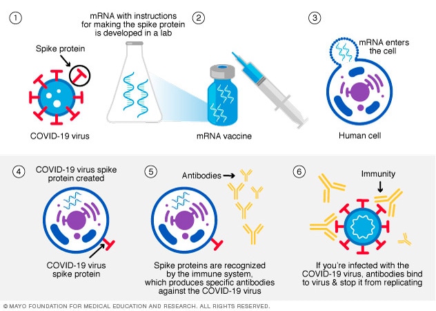 mRNA 疫苗