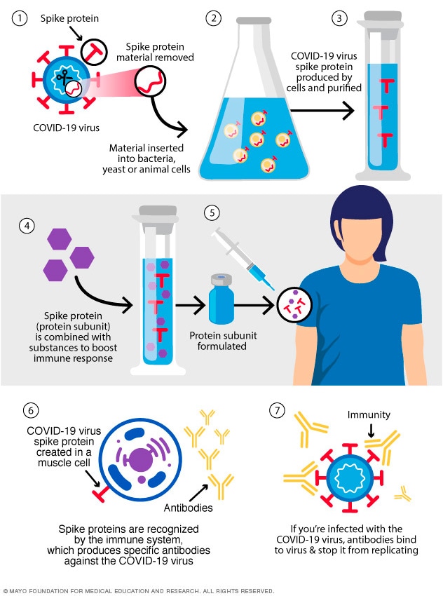 Protein subunit vaccine