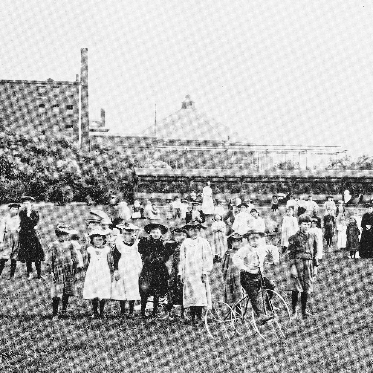 Children in a school playground