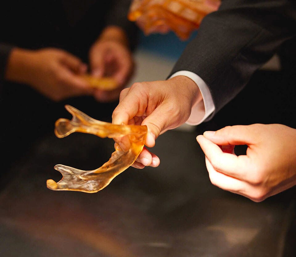 Photo of doctor holding jaw bone