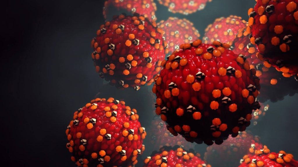 (VIDEO) The science behind the measles virus