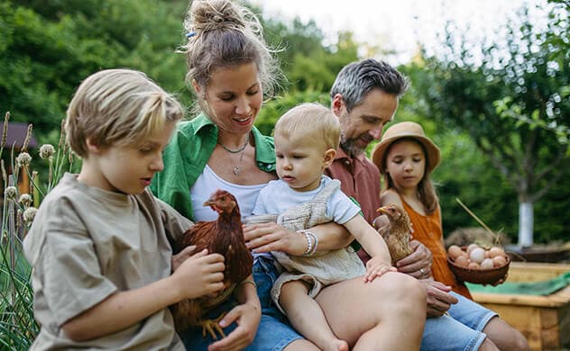 A family pets a chicken on a farm.