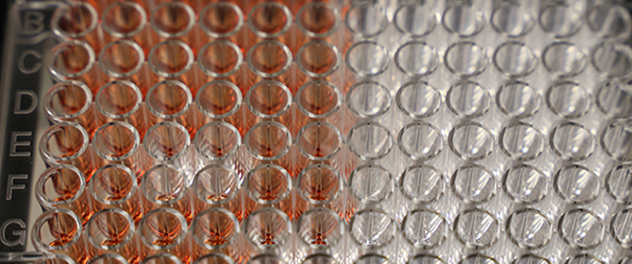 Dr. Choi's lab uses advanced neuroscientific technologies to develop a novel medication.