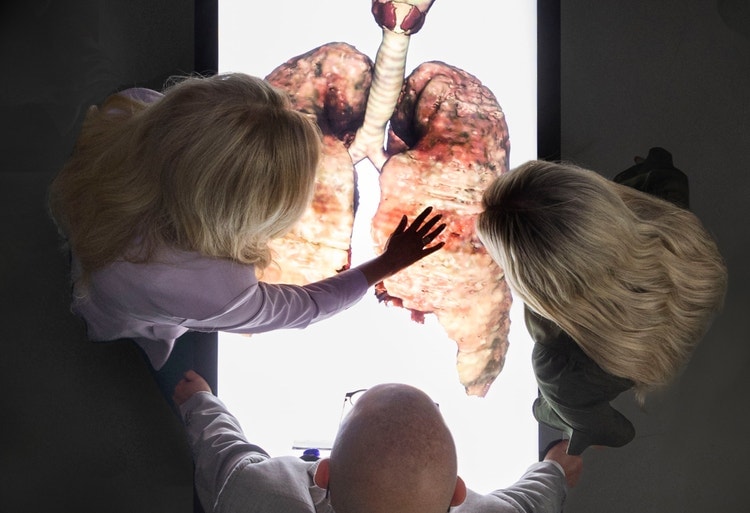 Three colleagues interacting with an educational model on a large screen