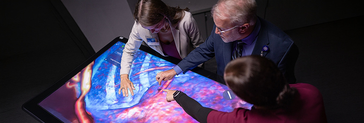 Three colleagues interacting with an educational model on a large screen
