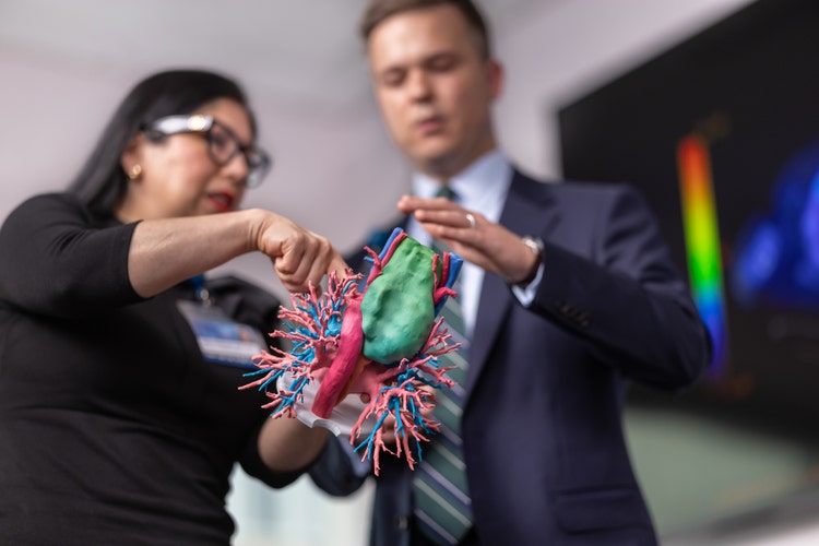 Sahar Saddoughi, MD, Thoracic Surgery consultant, reviews an anatomical 3D printed model with David Sanborn, MD, Advanced Lung Disease and Lung Transplant fellow. Asset created for updated Transplant imagery for mayoclinic.org, landing pages, MedProf articles, and social media.
