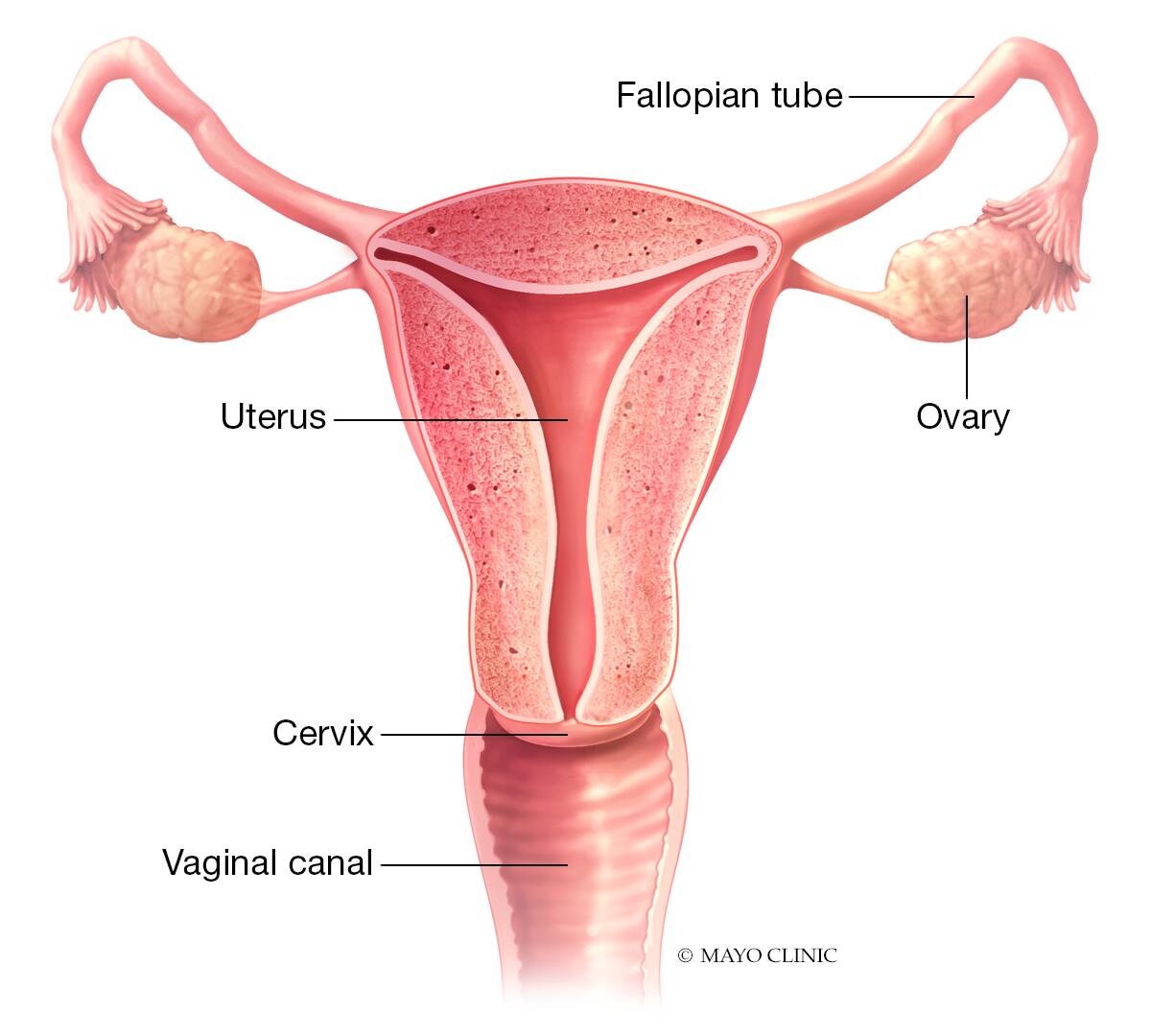 Causes of Female Infertility - Age - PCOS - Smoking