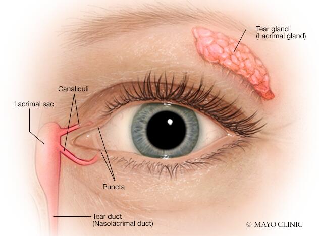 Spiritual Meanings of Tears from Right Eye and Left Eye, Spiritual Posts  in 2023